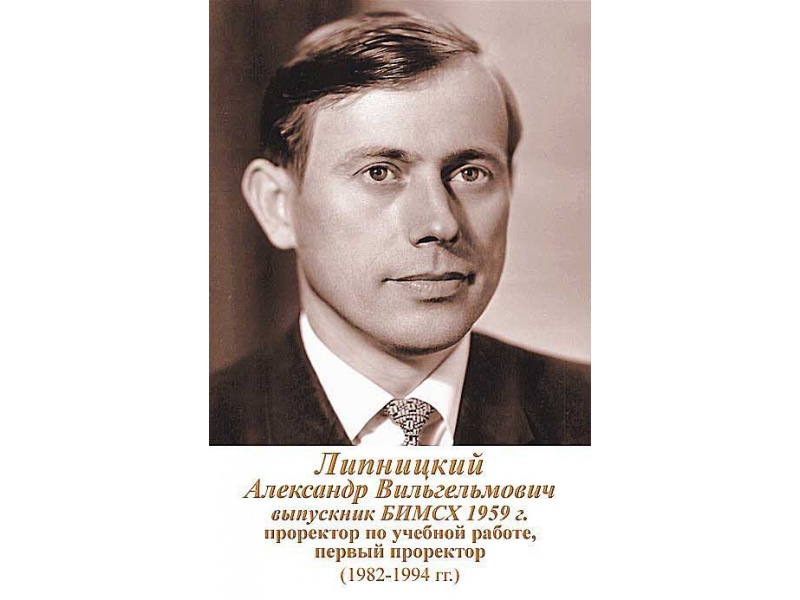 Липницкий Александр Вильгельмович,1982-1994