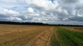 Минская обл., Вилейский район, автор Фещенко Ирина