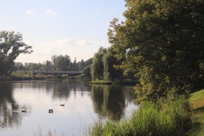 "Водная гладь" Малашенко Виталий