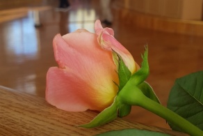 Международный день семьи