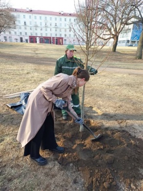 Год благоустройства