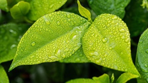 День экологических знаний