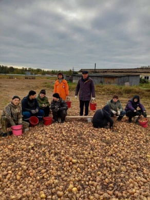 Трудовые будни