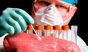 2025/2026 «Образование вне границ» – 8