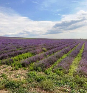 Фотоконкурс