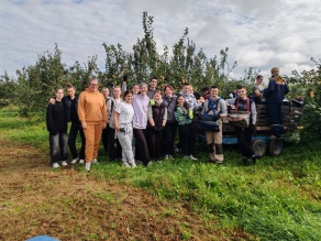 Студотряд в "Маладосць 1"