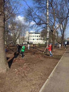 Месячник по наведению порядка и благоустройству территории