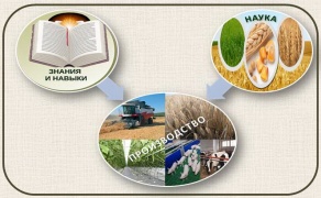 II  Международная научно - практическая конференция  «Агропромышленный комплекс в условиях инновационного развития: наука, технологии, кадровое обеспечение»