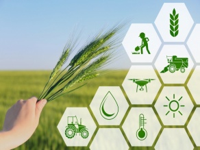 Техническое обеспечение инновационных технологий в сельском хозяйстве