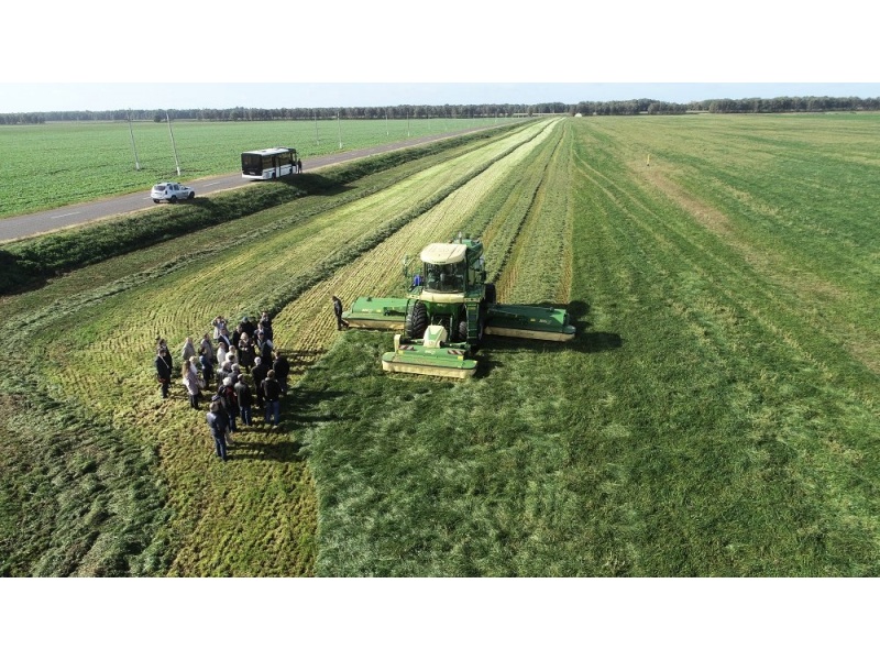 Фото Елены Дорошенко