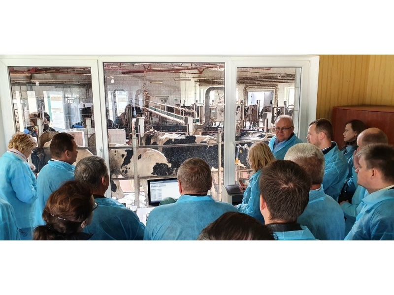 Фото Елены Дорошенко