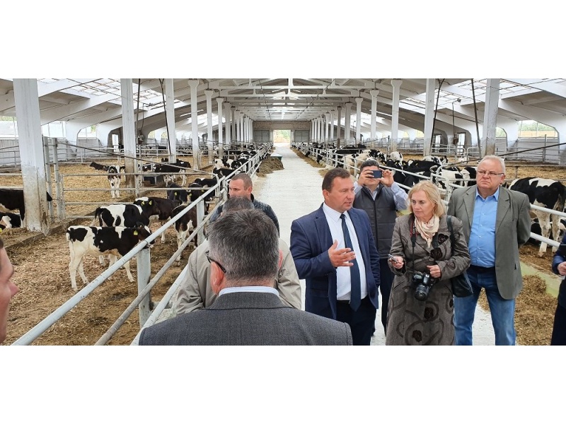 Фото Елены Дорошенко