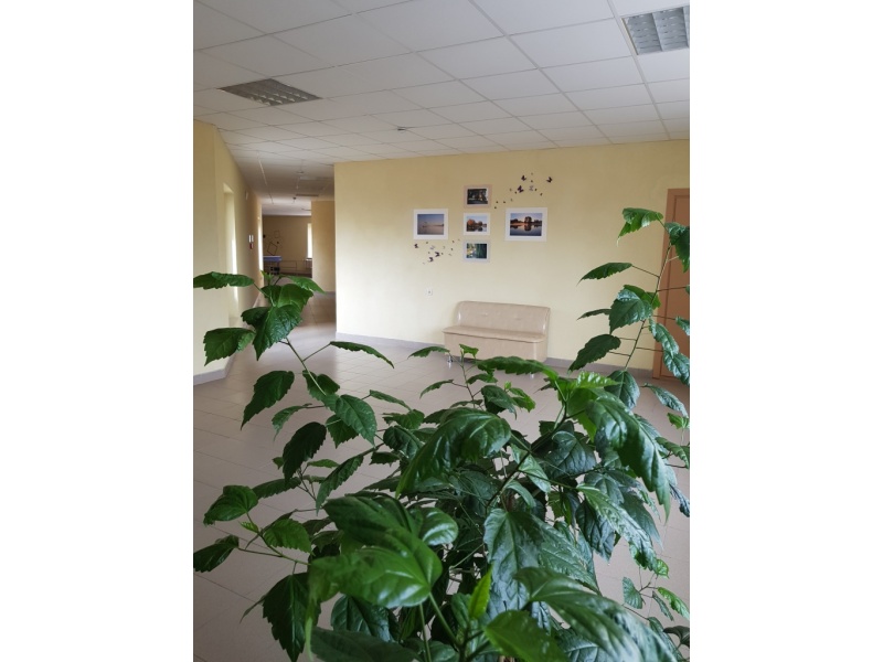 общежитие №9