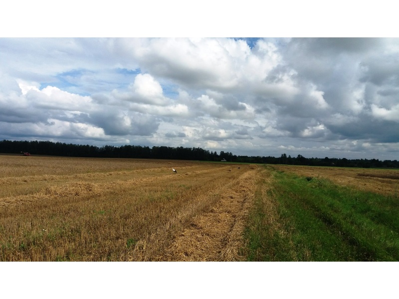 Минская обл., Вилейский район, автор Фещенко Ирина