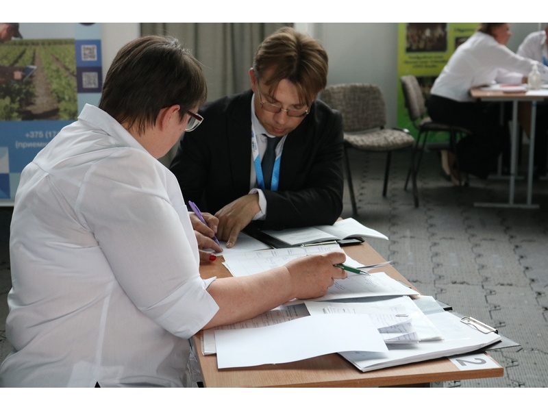 Работа экспертов