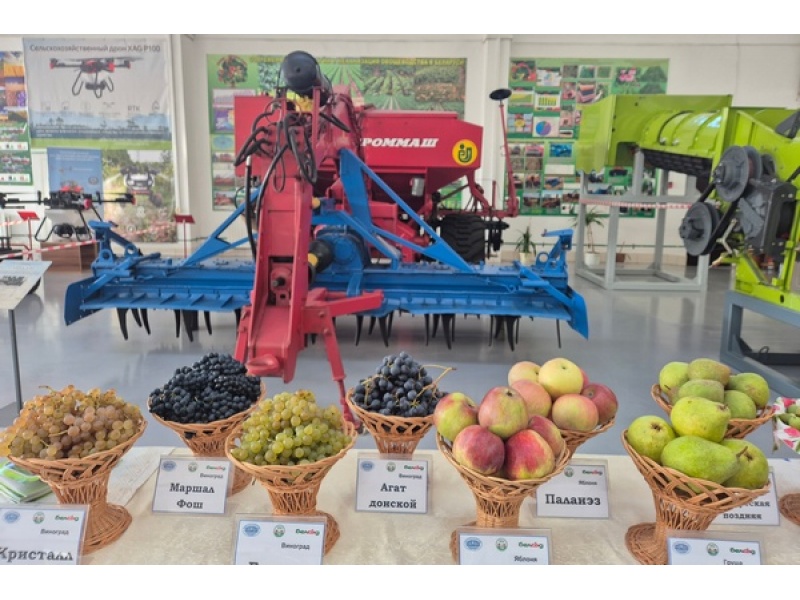 Осенняя плодоовощная выставка в БГАТУ