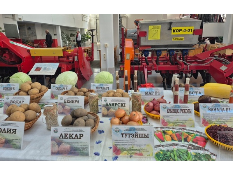 Осенняя плодоовощная выставка в БГАТУ