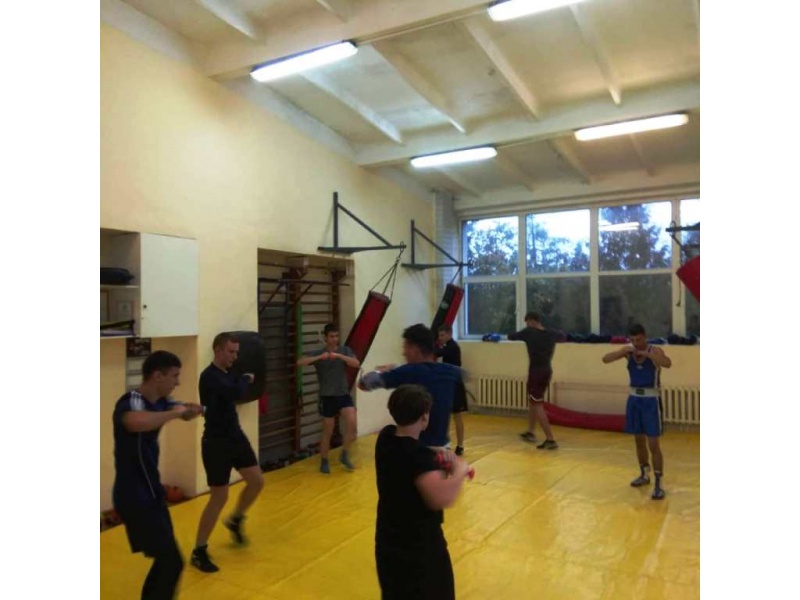 разминка бокс БГАТУ