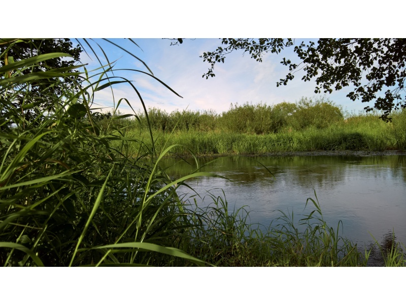 Минский район, автор Ващаева Мария