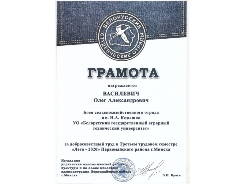 АМФ, 3 курс, гр. 8мпт