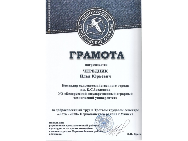 АМФ, 3 курс, гр. 9мпт