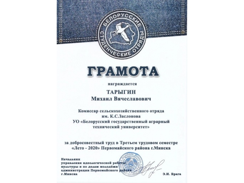 АМФ, 3 курс, гр. 10мпт