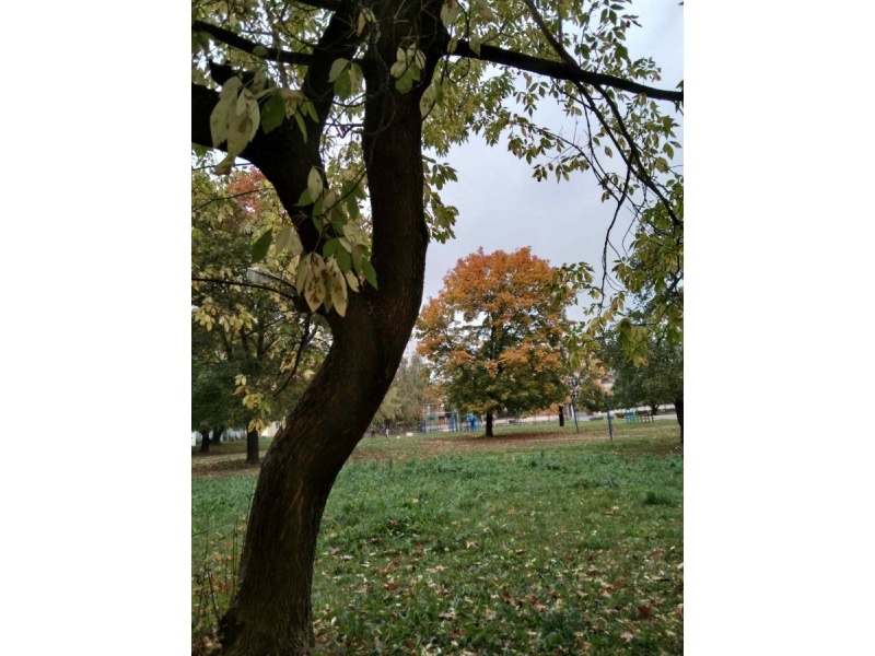 Выставка_общежитие_№7