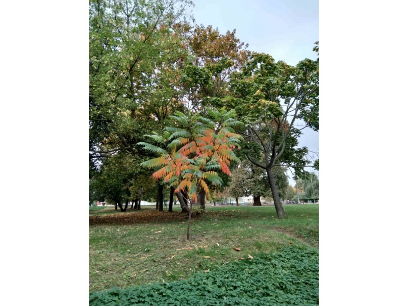 Выставка_общежитие_№7