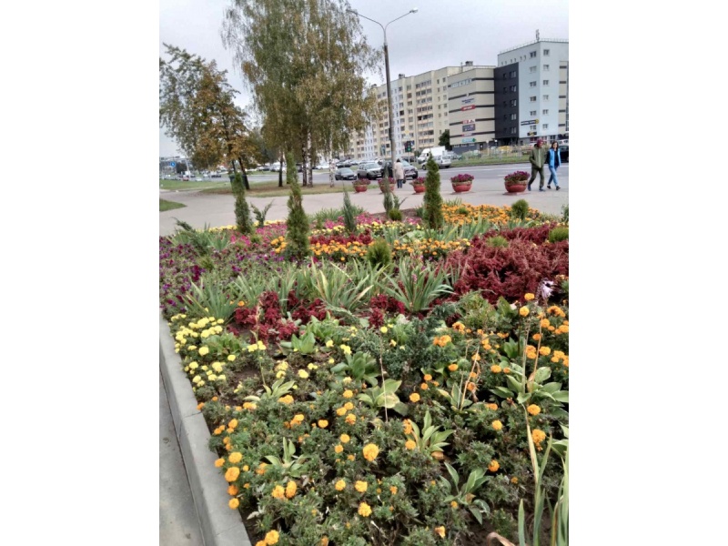 Выставка_общежитие_№7