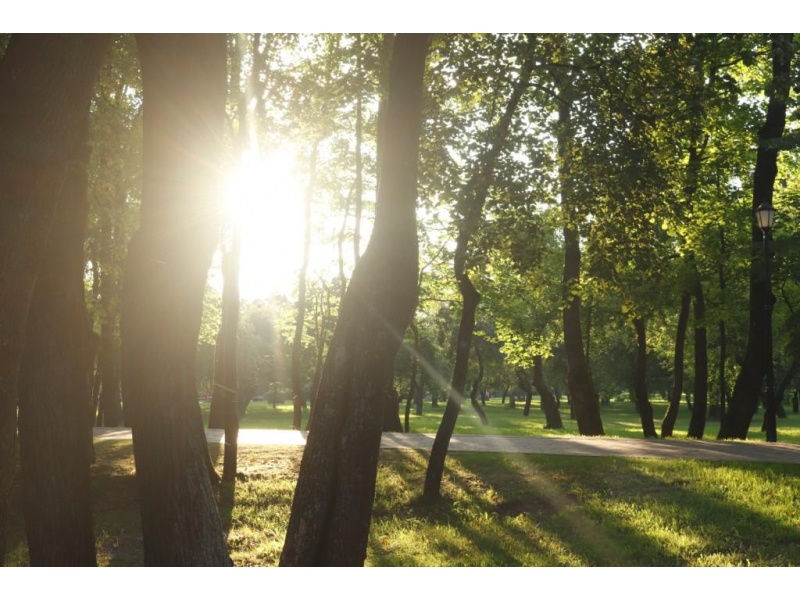 "Луч мира и добра" Малашенко Виталий