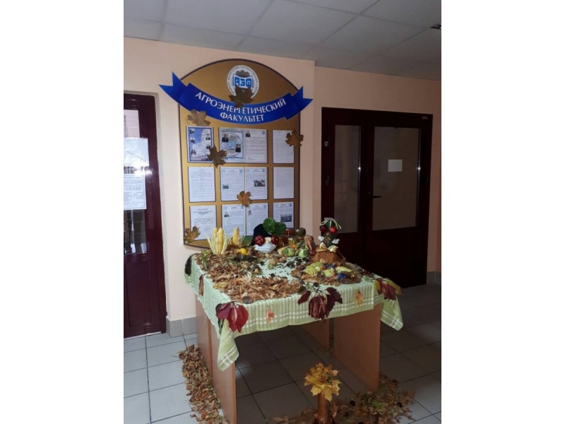 Выставка_общежитие_№1