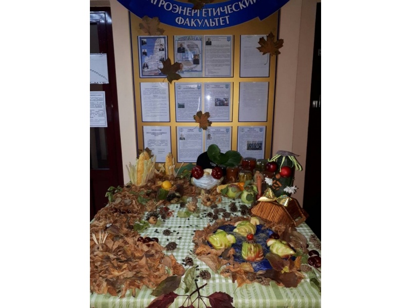 Выставка_общежитие_№1