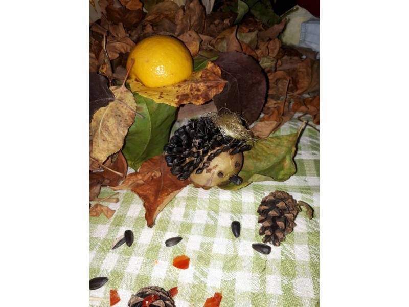 Выставка_общежитие_№1