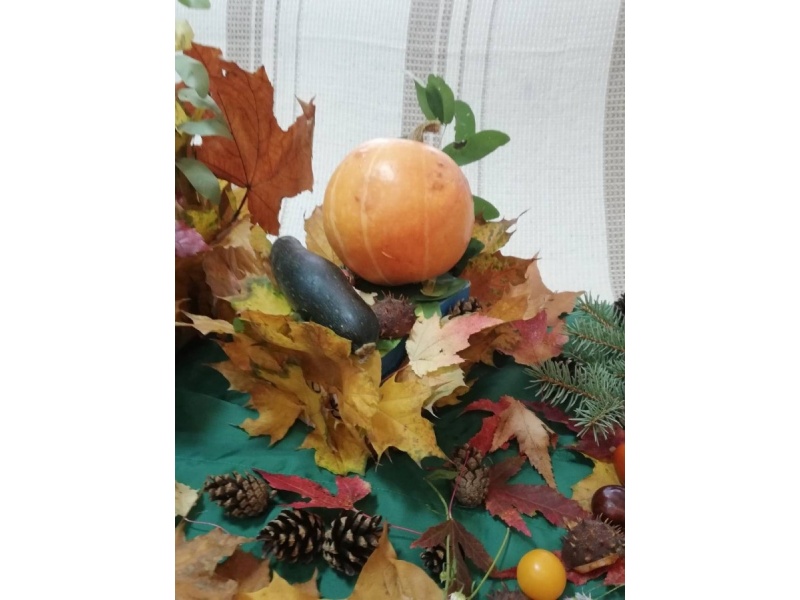 Выставка_общежитие_№5