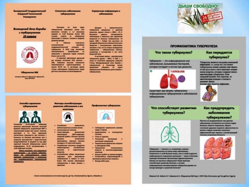 Общежитие №6