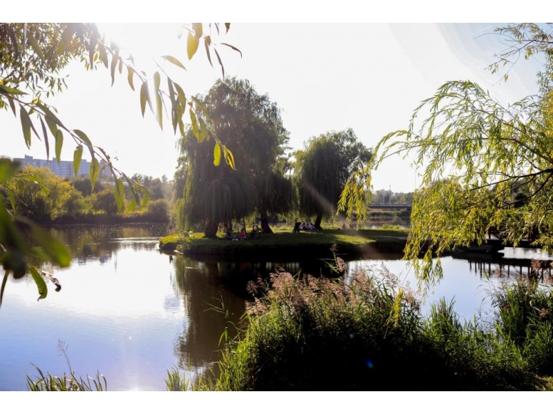 "Остров встреч" Малашенко Виталий