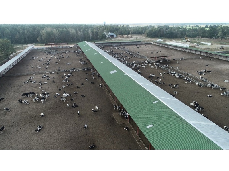 Фото Елены Дорошенко