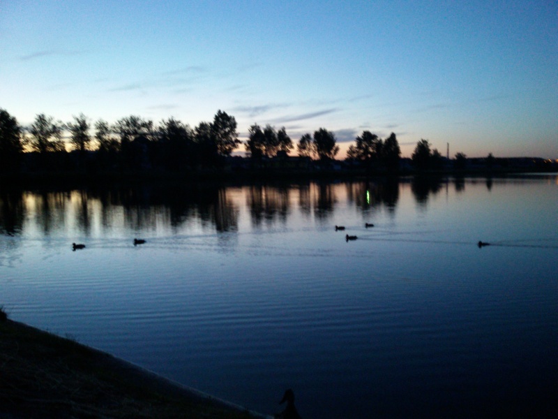 Минская область, г. Столбцы, автор Борисевич Инга