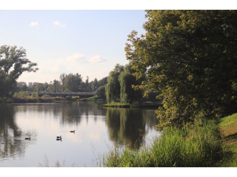 "Водная гладь" Малашенко Виталий