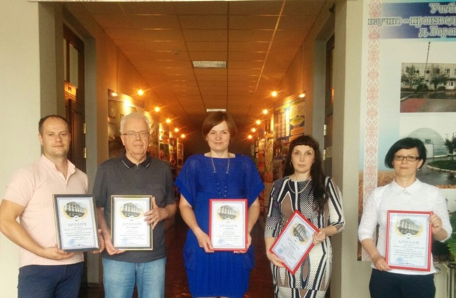 Лучший куратор года